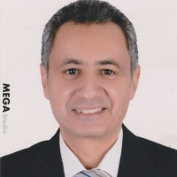 Sameer Soliman