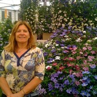 Susan Bazela