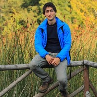 Diego Andres Mardones Koning