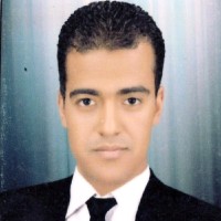 Ahmed Abdel Hameed