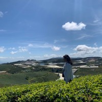 Huỳnh Như Huỳnh Như