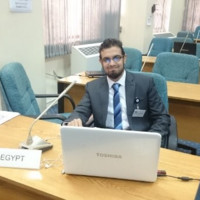 Mohamed Wady