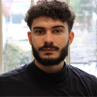 Raul De Albuquerque Vieira