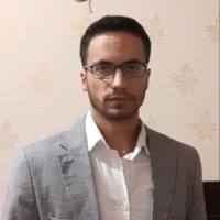 Shady Kamel, Msc.