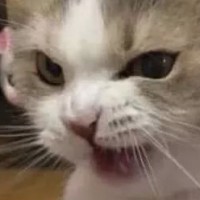 张春阳