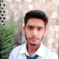 Ali Hassan