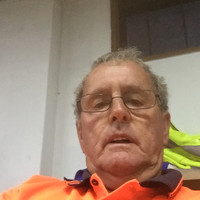 David Carlisle