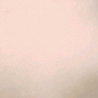 Stefano Arcadi arcadi