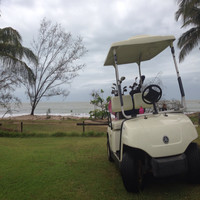 Mark ( Rock ) Hampton