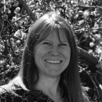 Judy Knowles