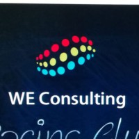 WE CONSULTING