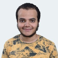 Waleed Saber