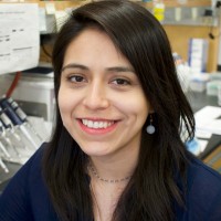 Maria-Jesus Olarte, Phd