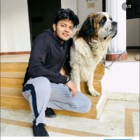 Ankit Vishwakarma