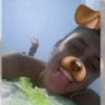 Ricardson Lopes