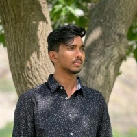 Nitheesh Kumar Reddy