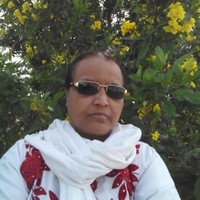 Anis Fatima