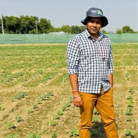 Dhananjay Yadav, Ph.D.