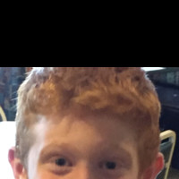 Walsh Kip
