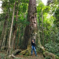 Ana Carolina Brites da Silva
