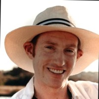 David Macgill