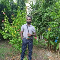 Solomon Pam
