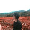 Pangs You
