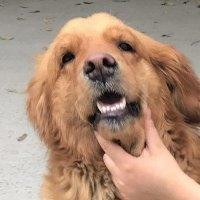 陈天艳