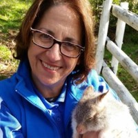 Julie Parr