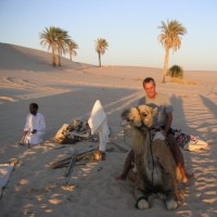 Paul Bosanquet Cenv,Ieng,Fsoe Fiplante, Mie