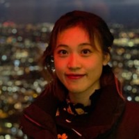 Liziying Fan