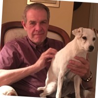 Dave Gibson