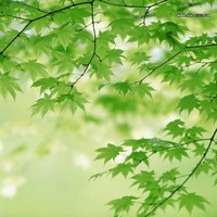 王宝江