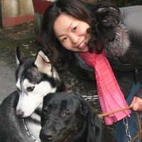 Jing Li