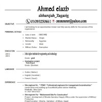 Ahmed Elazb