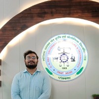 Ashish Bhatt
