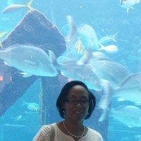 Sharon Steino
