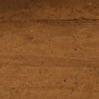 k Dhanaraju