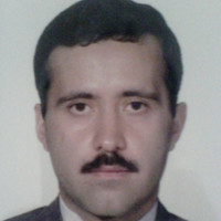 Mohammad Ali Ashraf Ganjouei