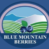 Blue Mountain Berries