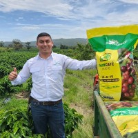 Julio Cesar Amador Velasquez
