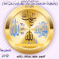 Mostafa Mohamed