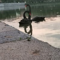 大富翁