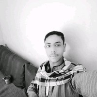 محمد البشير