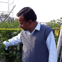 Madhav Phalke