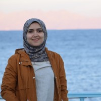 Alaa Elshafey