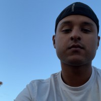 Brando B