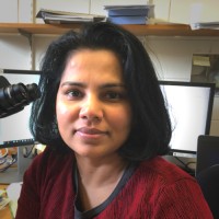 Iresha Wickramasinghe