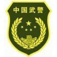 周海青