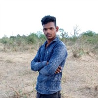 Ravi Pawar